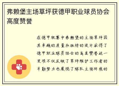 弗赖堡主场草坪获德甲职业球员协会高度赞誉