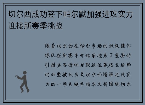 切尔西成功签下帕尔默加强进攻实力迎接新赛季挑战
